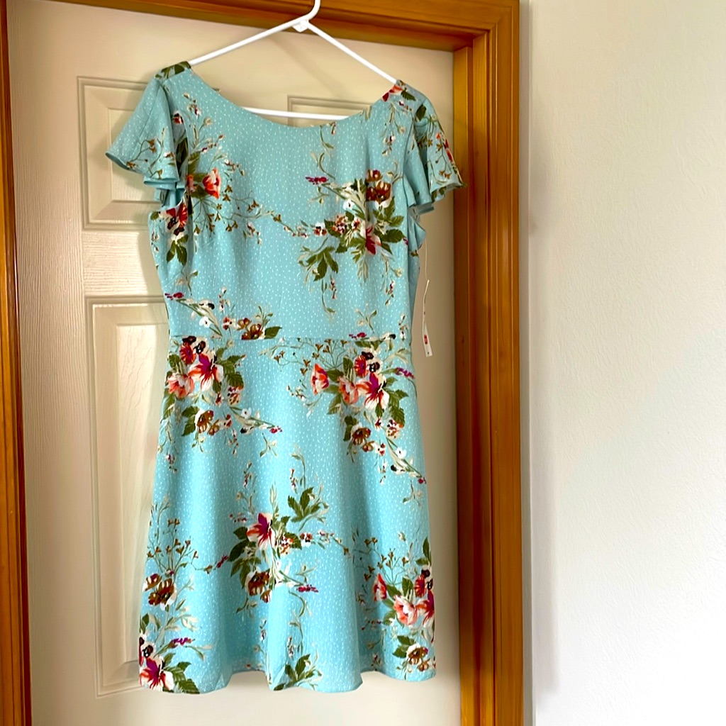 London Style Collection. Dress. Sz 12p Nwt. Mint Green Floral/Small Polka Dots.